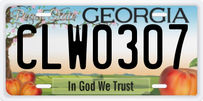 GA license plate CLW0307