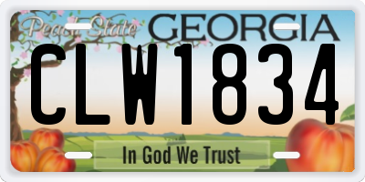 GA license plate CLW1834