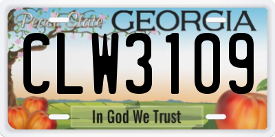 GA license plate CLW3109