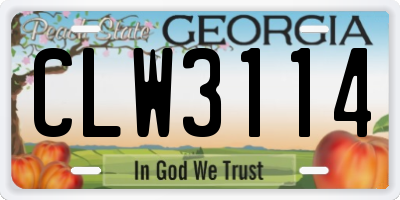 GA license plate CLW3114