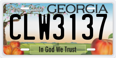 GA license plate CLW3137