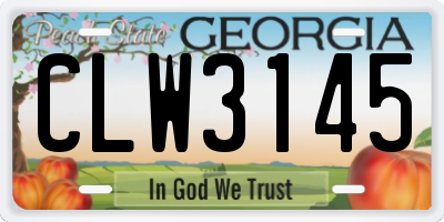 GA license plate CLW3145