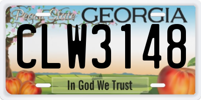 GA license plate CLW3148