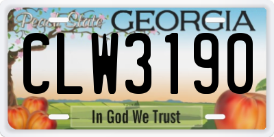 GA license plate CLW3190