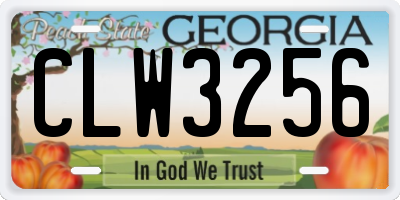 GA license plate CLW3256