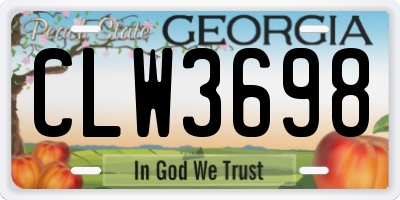 GA license plate CLW3698