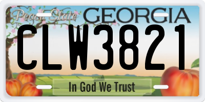 GA license plate CLW3821