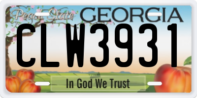 GA license plate CLW3931