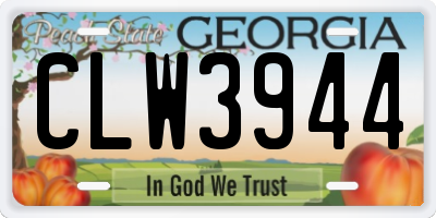 GA license plate CLW3944