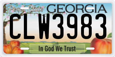 GA license plate CLW3983