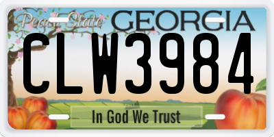 GA license plate CLW3984