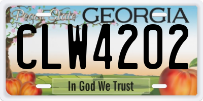 GA license plate CLW4202