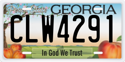 GA license plate CLW4291