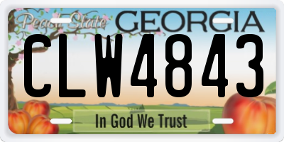 GA license plate CLW4843