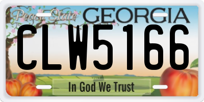 GA license plate CLW5166