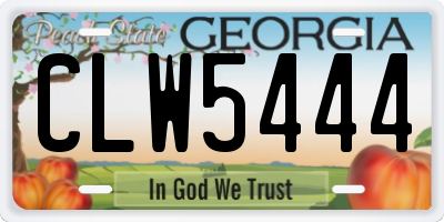 GA license plate CLW5444