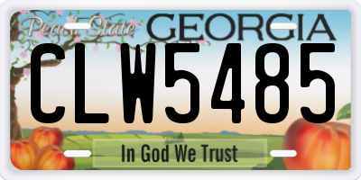 GA license plate CLW5485