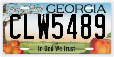 GA license plate CLW5489