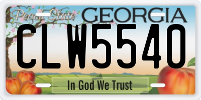 GA license plate CLW5540