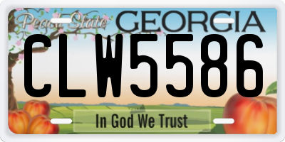 GA license plate CLW5586