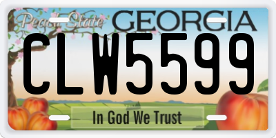 GA license plate CLW5599