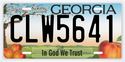 GA license plate CLW5641