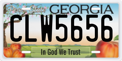 GA license plate CLW5656