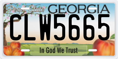 GA license plate CLW5665