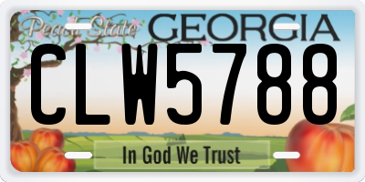 GA license plate CLW5788