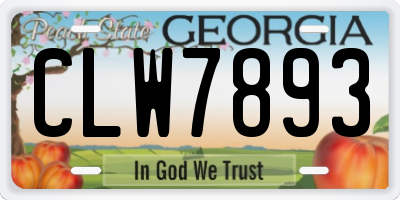 GA license plate CLW7893
