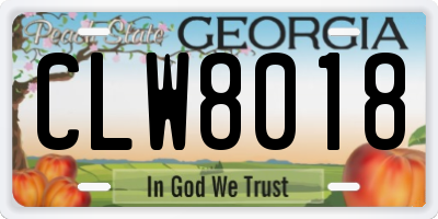 GA license plate CLW8018