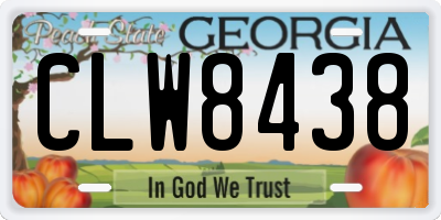 GA license plate CLW8438