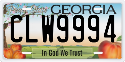 GA license plate CLW9994
