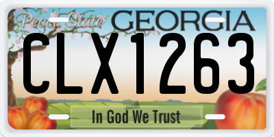 GA license plate CLX1263