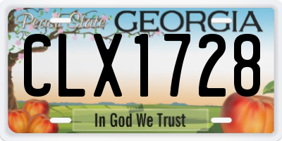 GA license plate CLX1728