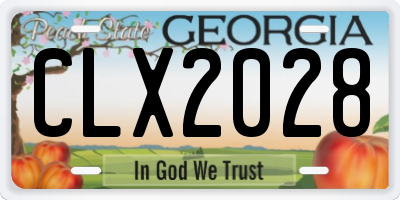 GA license plate CLX2028