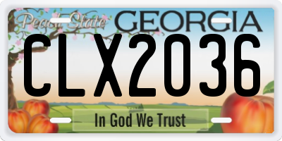 GA license plate CLX2036
