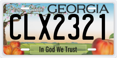 GA license plate CLX2321