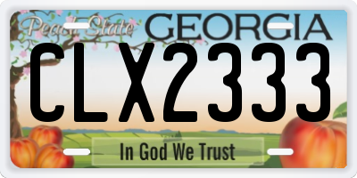 GA license plate CLX2333