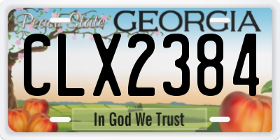 GA license plate CLX2384