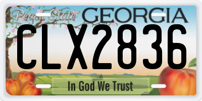 GA license plate CLX2836