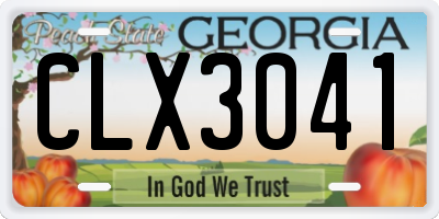 GA license plate CLX3041