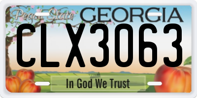 GA license plate CLX3063