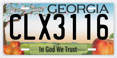 GA license plate CLX3116