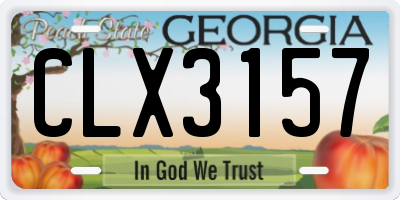 GA license plate CLX3157