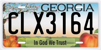 GA license plate CLX3164