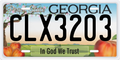 GA license plate CLX3203