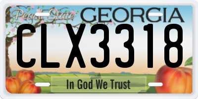 GA license plate CLX3318