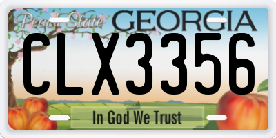 GA license plate CLX3356