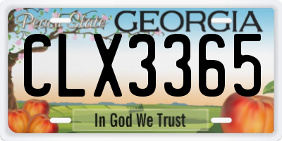 GA license plate CLX3365